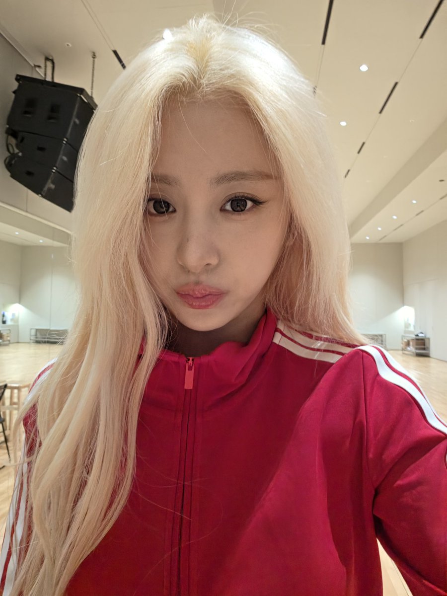 bee 🐝 tweet media