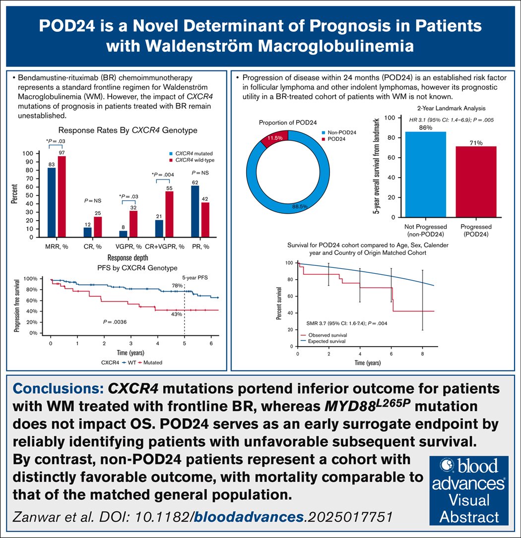 Benlazar S M A tweet media