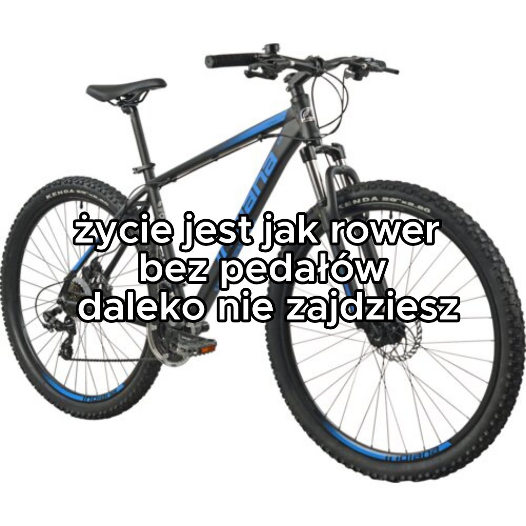 fatamoangana's tweet photo. https://t.co/vYpbzepZLA