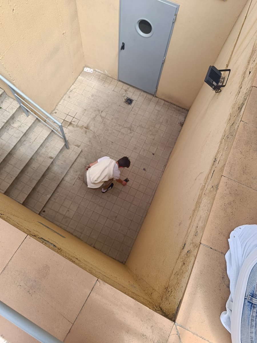 garu🐁 tweet media