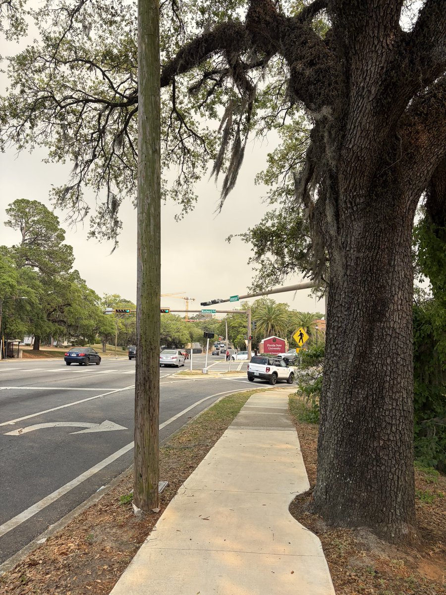theGavinWhiteWX's tweet photo. Smoky gray skies in Tallahassee today thanks to wildfires in southern Georgia https://t.co/tXgukbgRlg