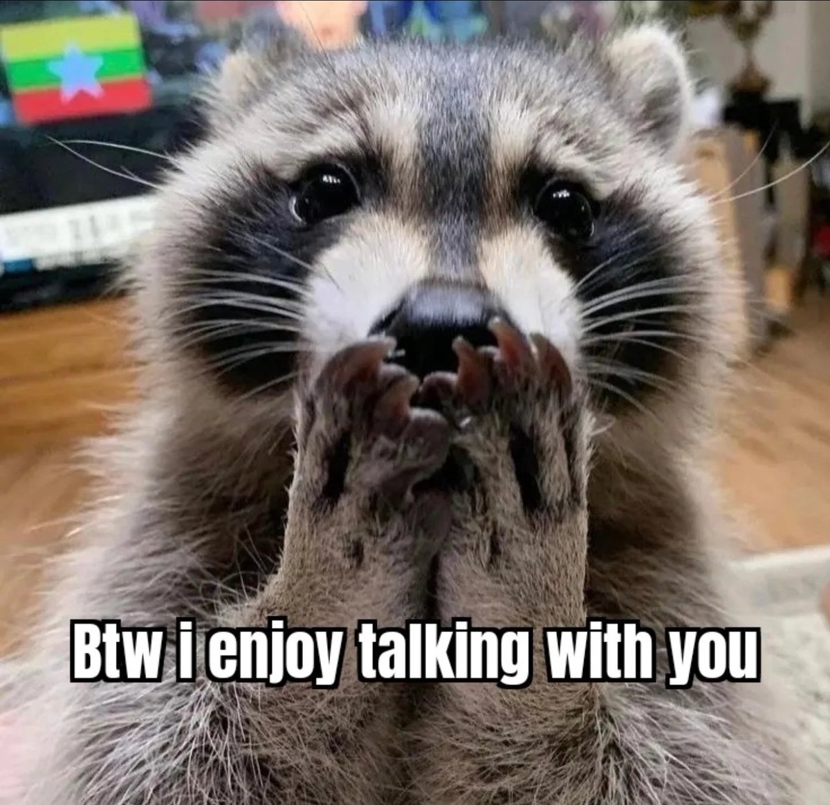 Why you should have a Raccoon tweet media