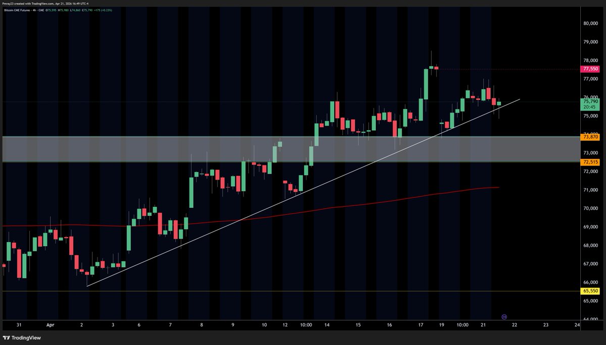 Mitch Ray tweet media