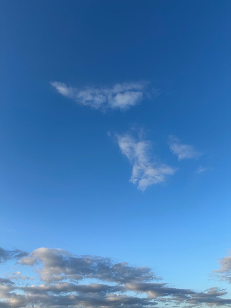 おはようございます☀☁️