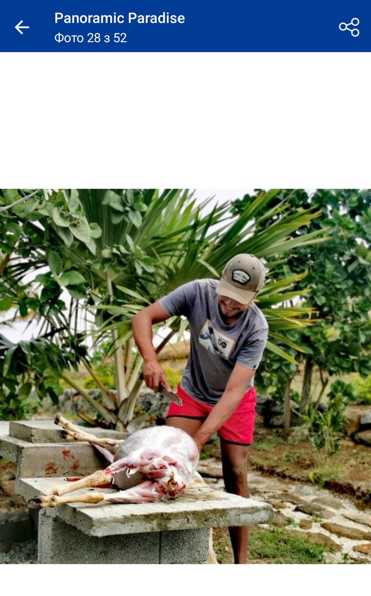 Ксенія Павлівна tweet media