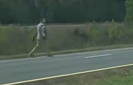 Grant Bell tweet media