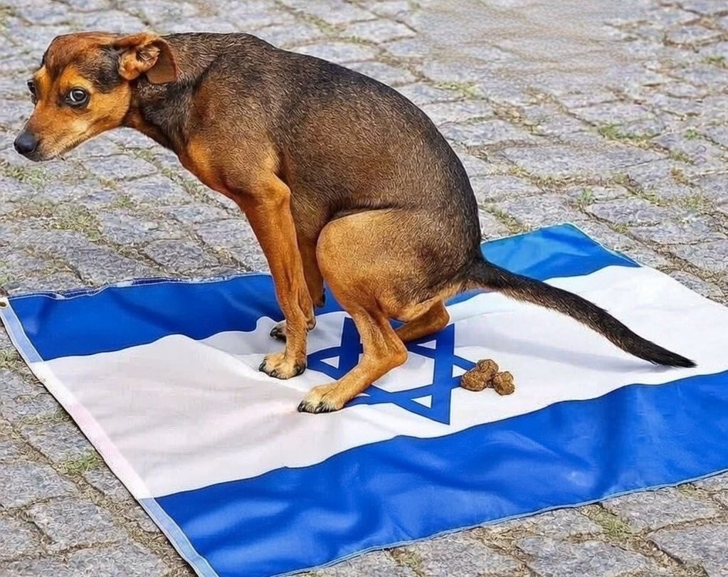 blinkr_thoughts's tweet image. Didn't want to dirty my dog poo bags so I used this instead 🥰🥰#lifehack #Israel_Enemy_of_Human