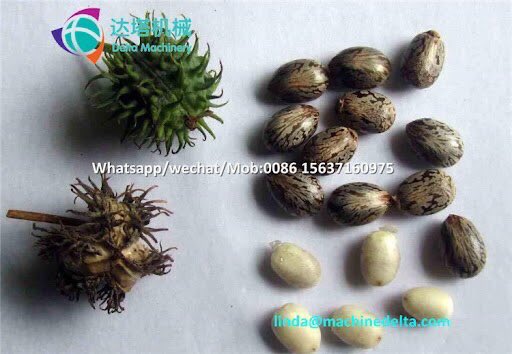 Your Herbal Stroke Specialist tweet media