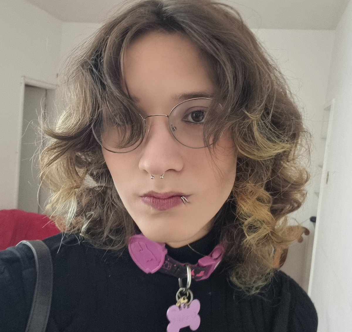 dogmakonha 🍁 tweet media