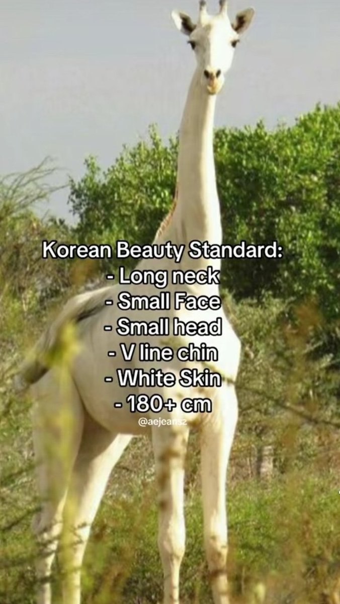 Ariality⁷⁵ 🪷ᴮᵘˢᶜᵃ ᵇᵒˡᵉᵗᵒ ᵖᵃʳᵃ ᴬʳⁱʳᵃⁿᵍ🇲🇽 tweet media