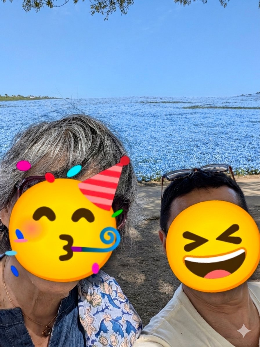 ランス tweet media