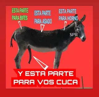 Barrionuevo Rodrigo tweet media