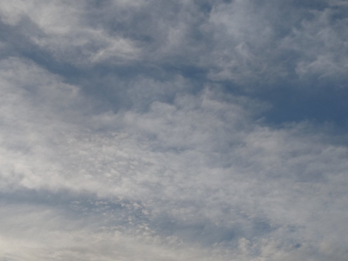 速水@momoka@sairi tweet media