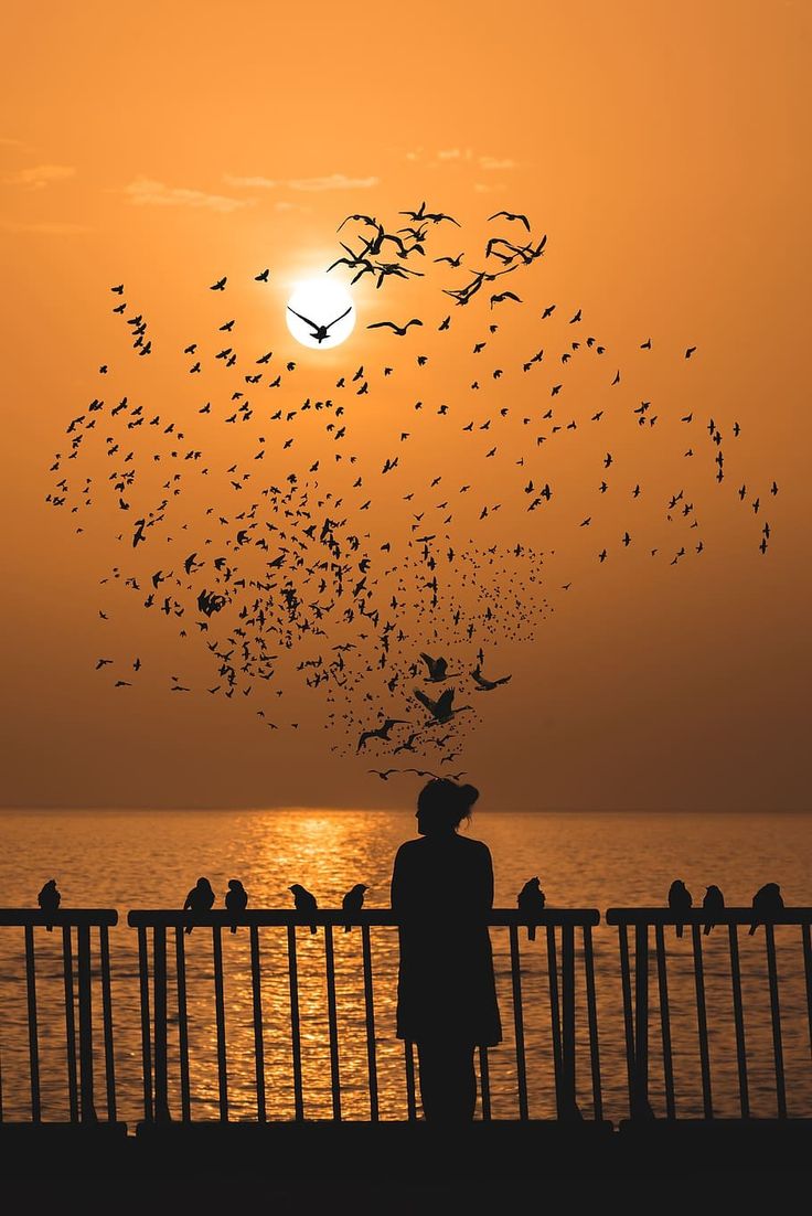 ~~•• عذبة ••~~ tweet media