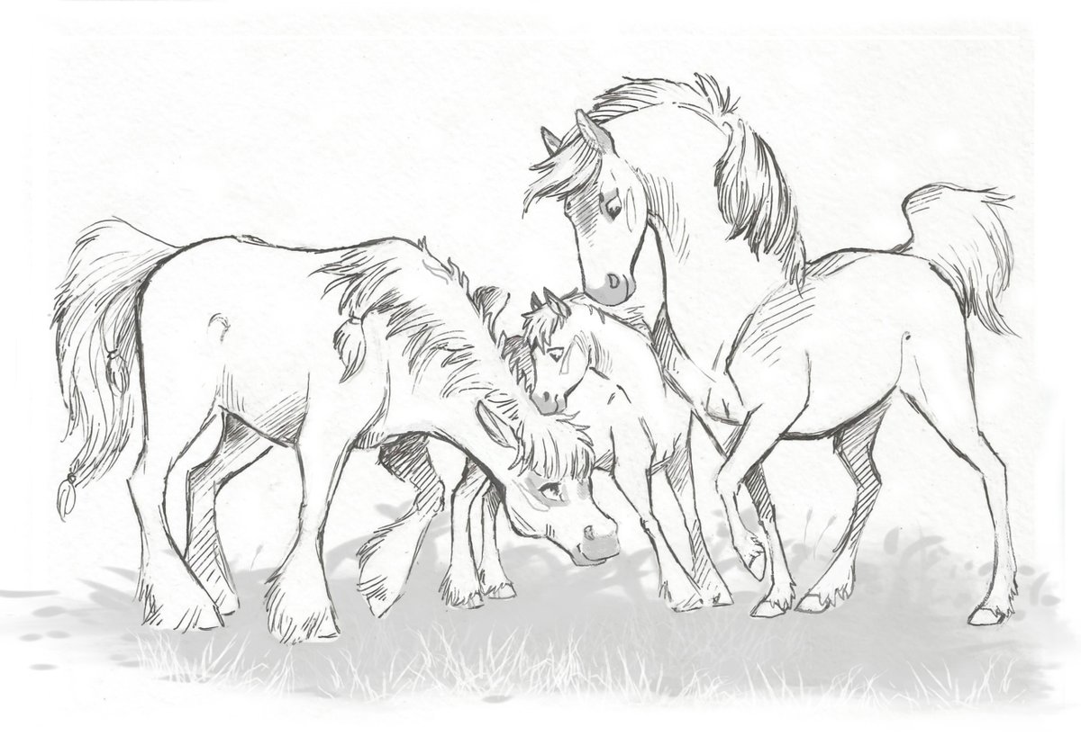 Taski_Guru's tweet image. Line art of equine (family) adoptables (closed)
#lineart #mare #horses #line_art #horseart #stallion #foal