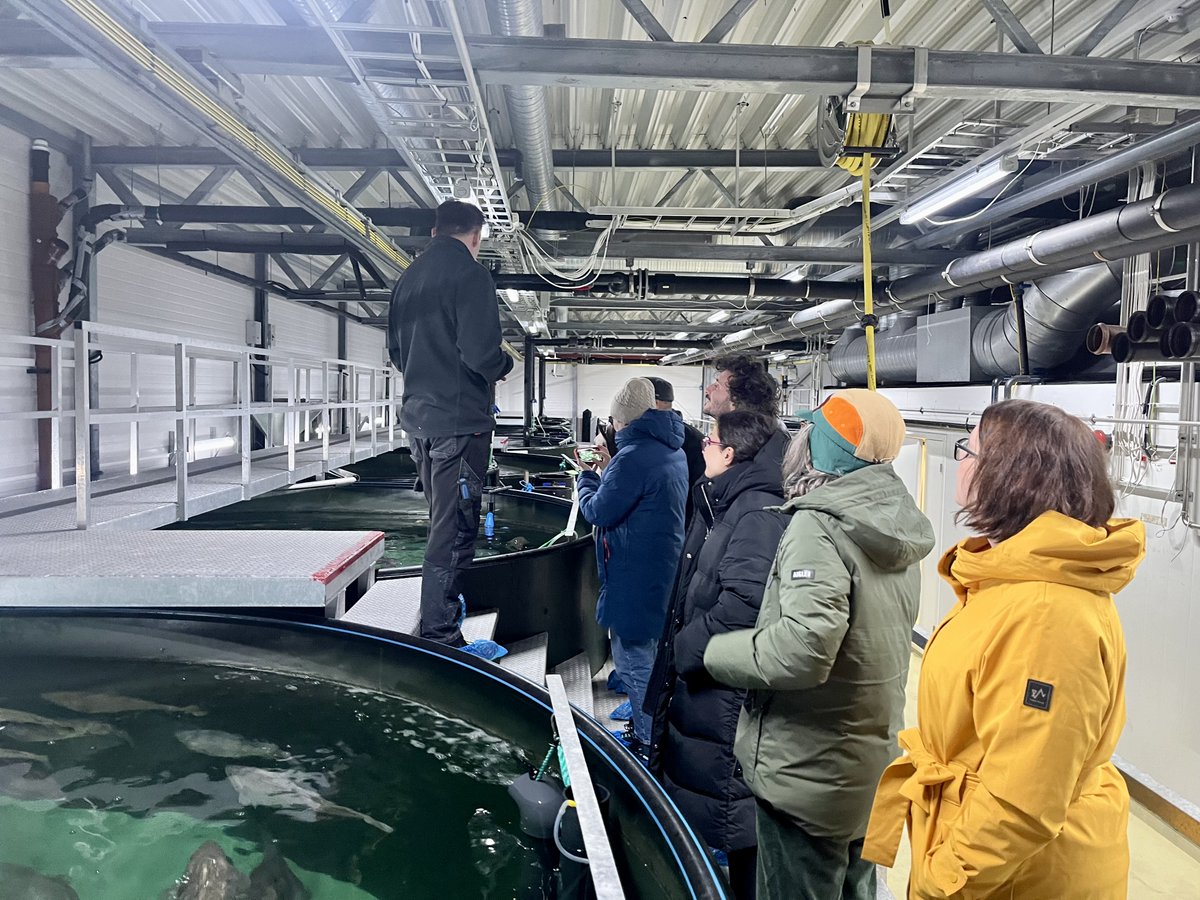 cmmicyprus's tweet image. 📣 Partners of the Mr.Goodfish 3.0 project gathered at Nordnorsk Vitensenter, in Tromsø, #Norway, on March 17-21, for a #consortium meeting focused on advancing the programme’s objectives.

💡The meeting brought together project partners and key #stakeholders to strengthen