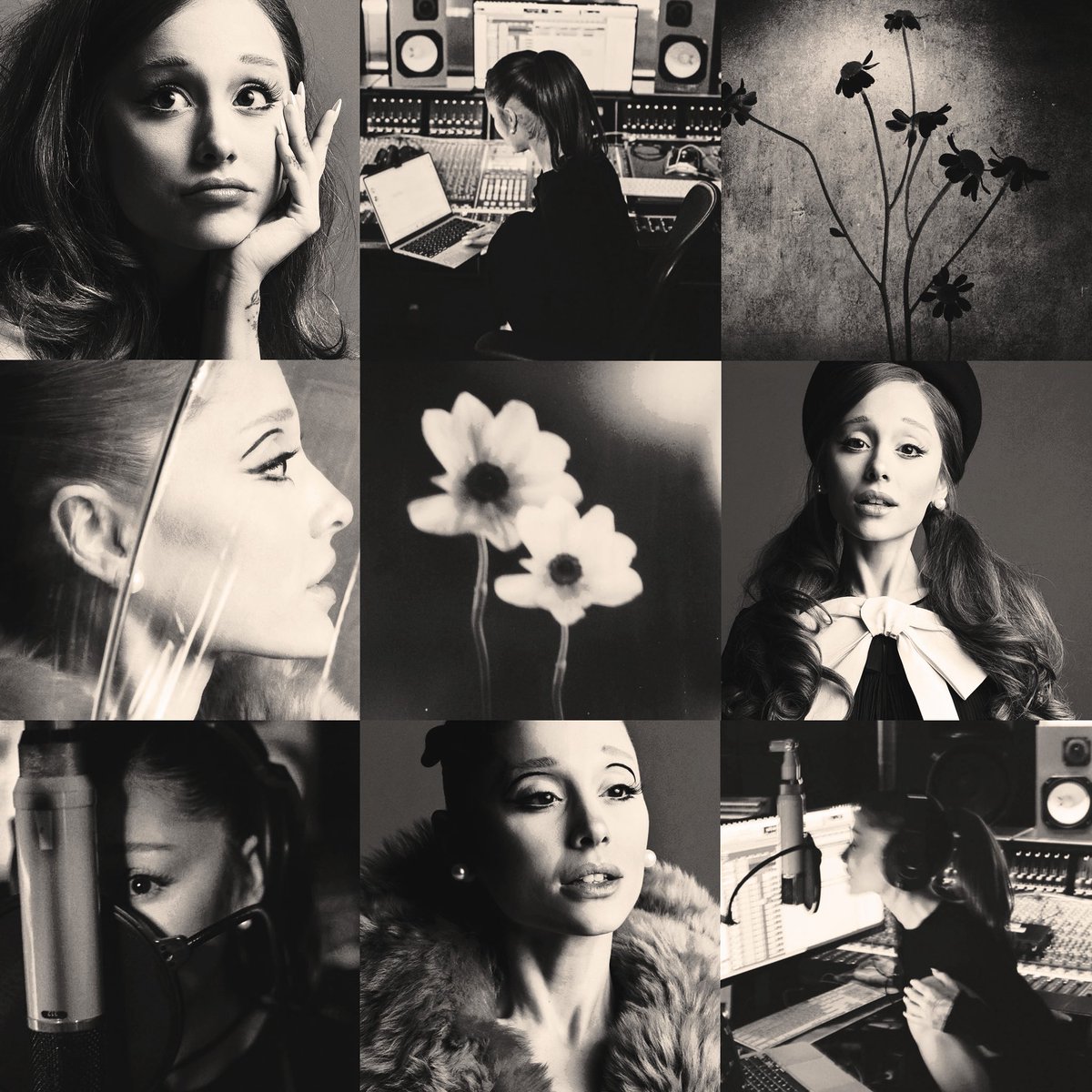 allie ꕤ tweet media