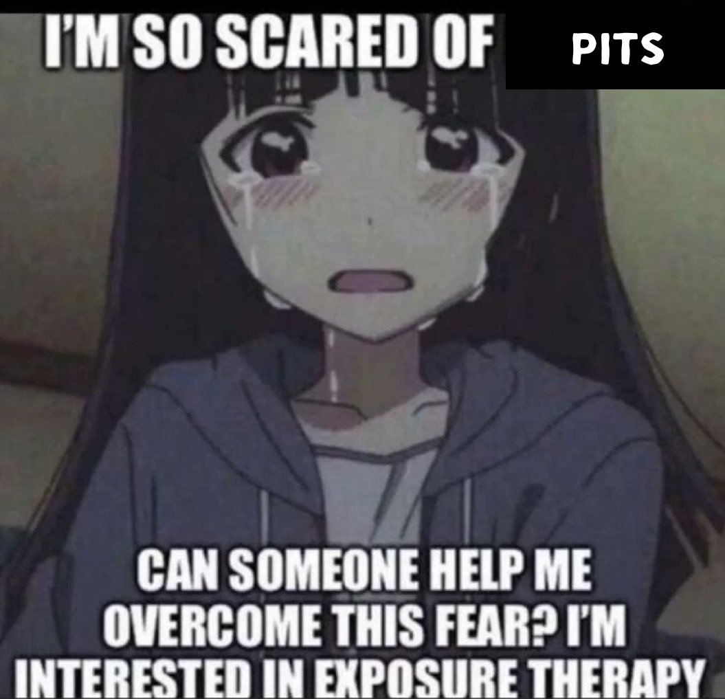 Jamie!🏳️‍⚧️ tweet media