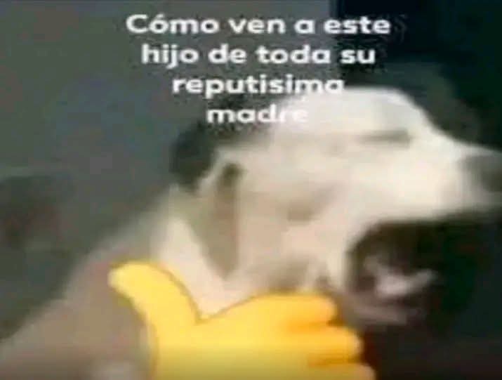 @daneemr tweet media