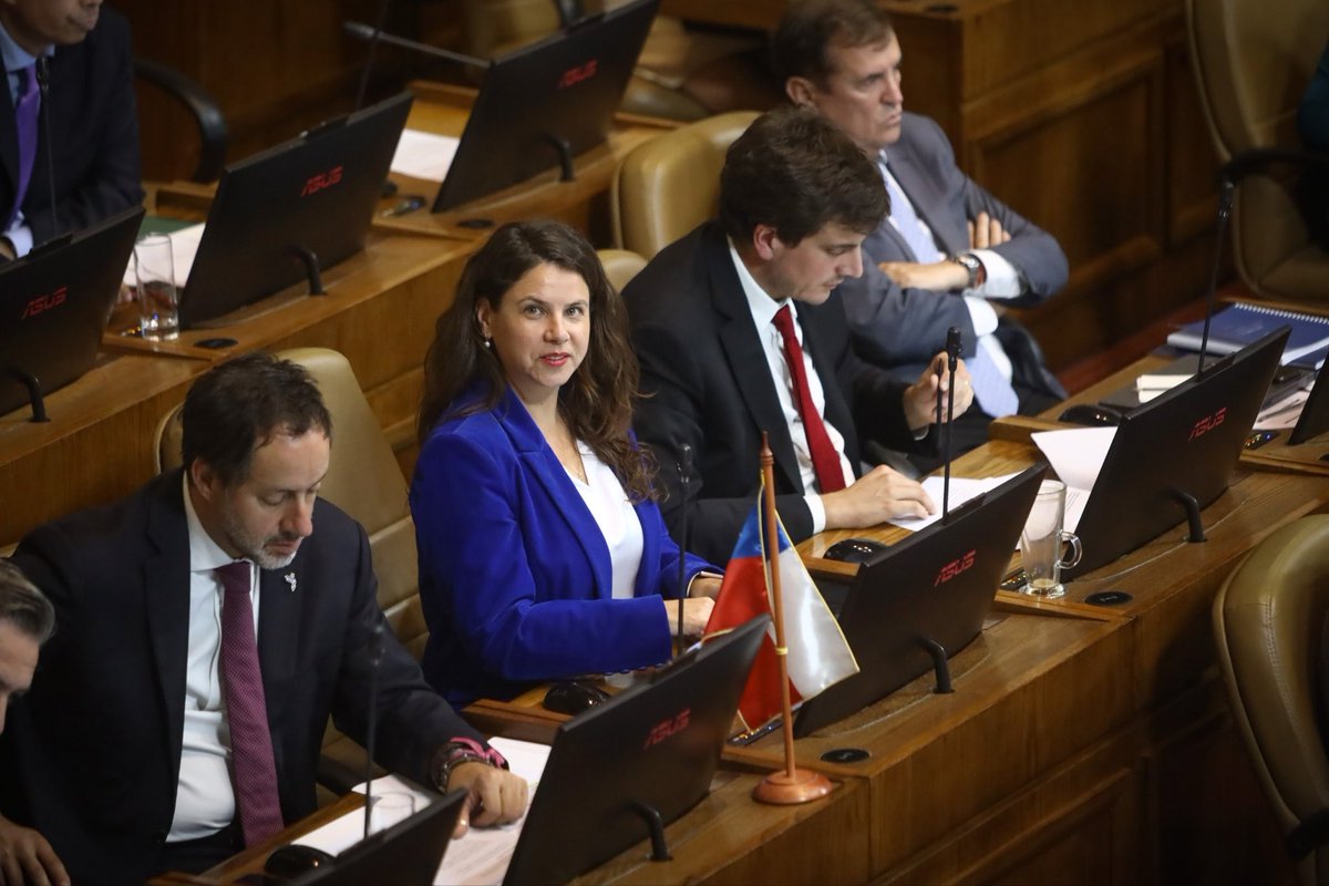 Diputados RN tweet media