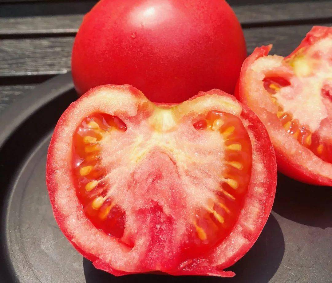 Nicolò Tomiati tweet media