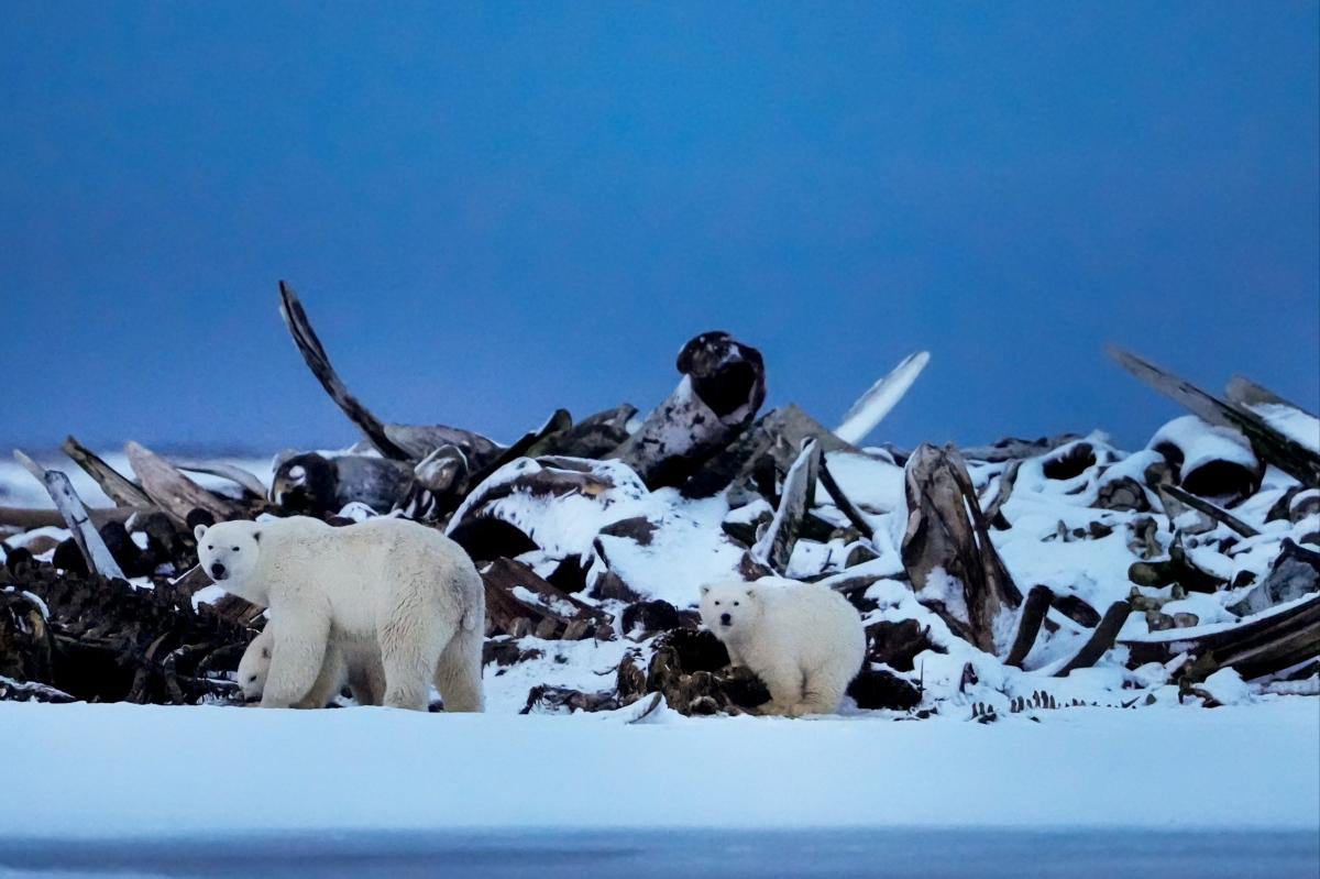 New York Post tweet media