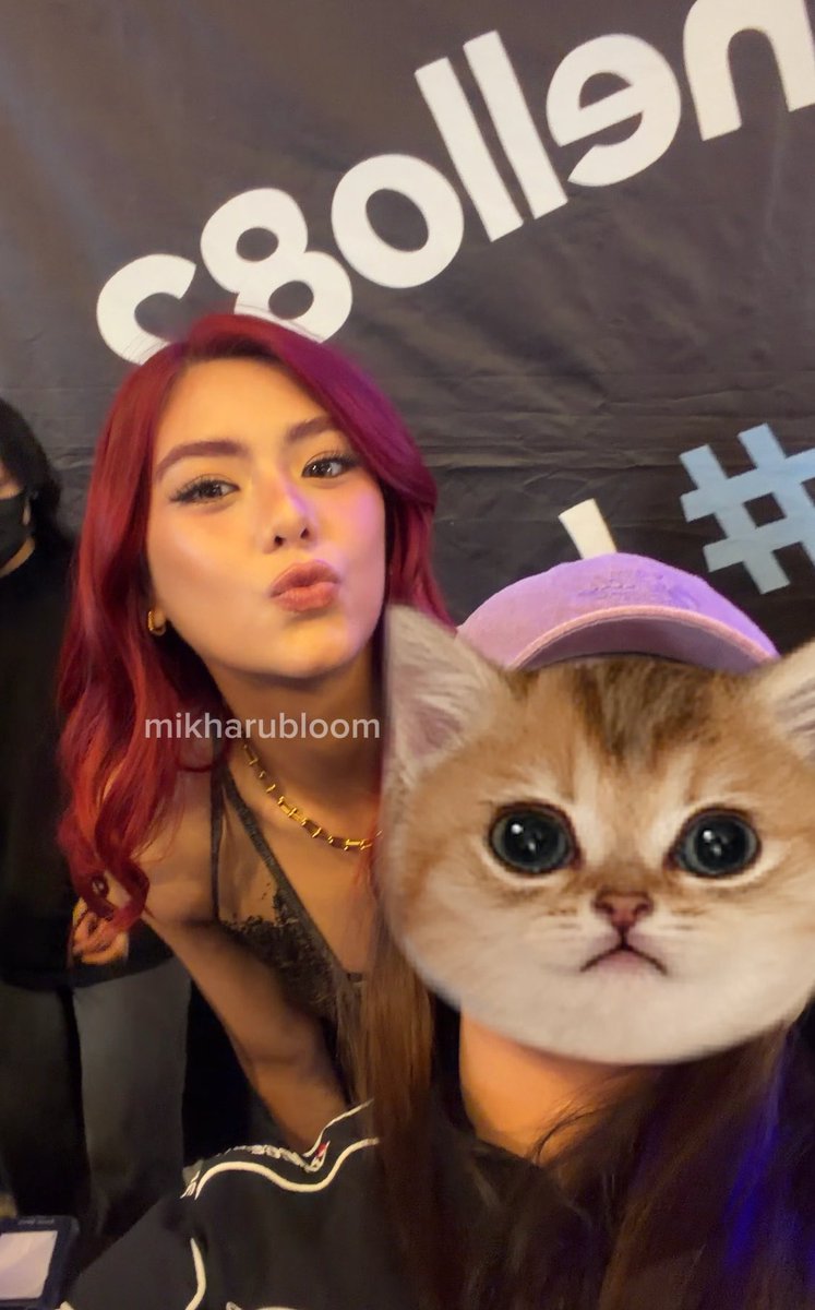 ave 🦊 tweet media