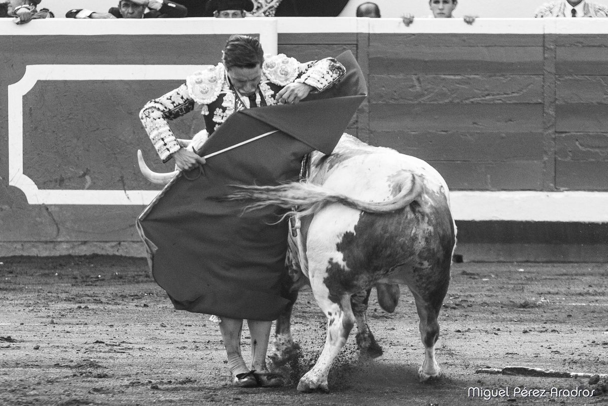 jonathanperezmartin tweet media