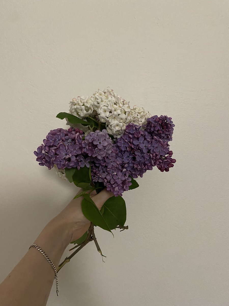 еще прибежал с такими горящими глазами, такой счастливый и довольный как чеширский кот 😭😭😭😭☹️☹️☹️☹️☹️