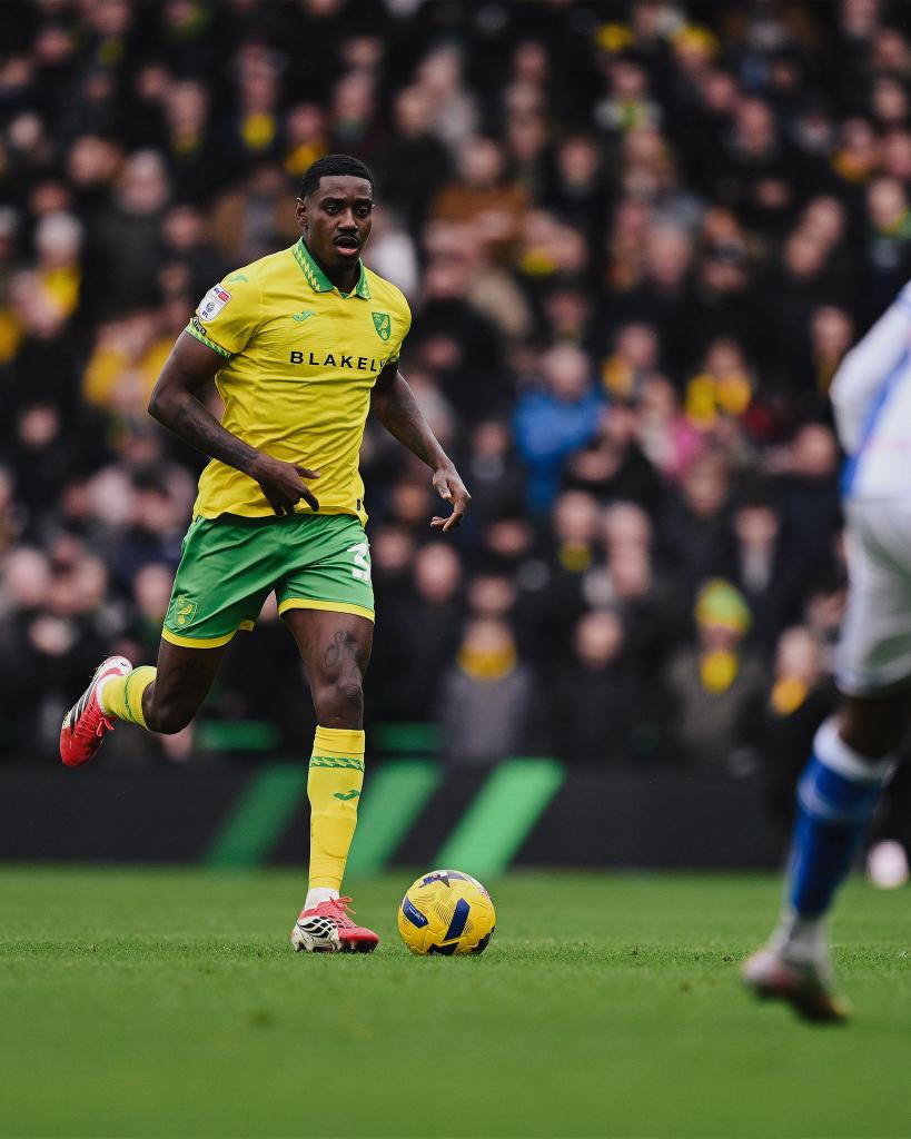 Canary Cast tweet media