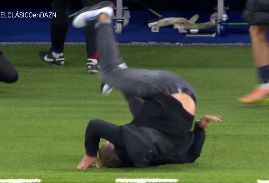 Berneese tweet media