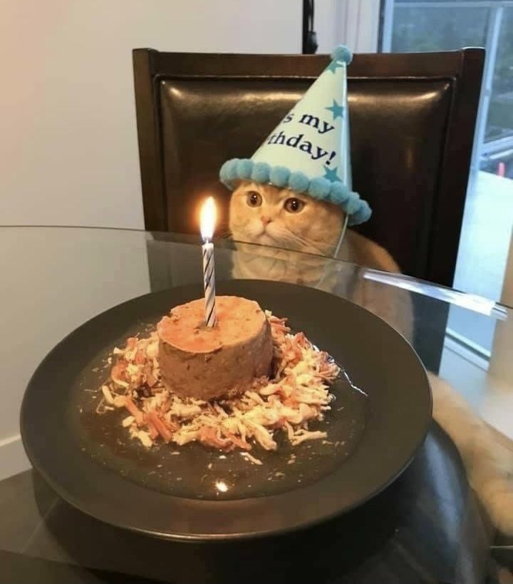 LVL1 || NOURA tweet media