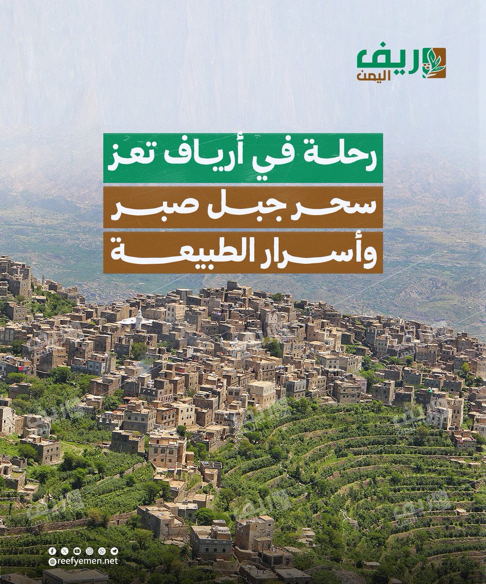 ريف اليمن Reef Yemen tweet media