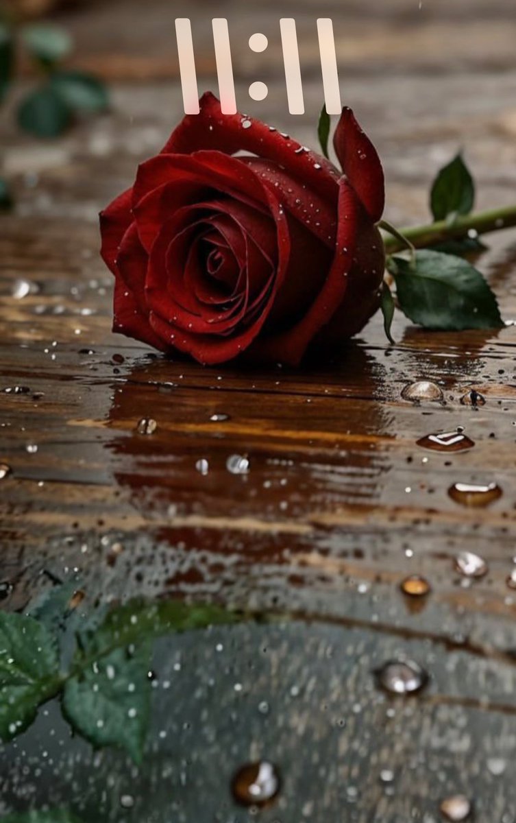 غيــ ͢ــوم tweet media