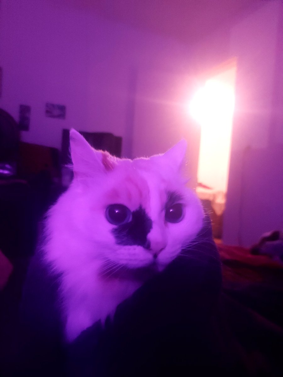 lala VIU o mcr!!! tweet media