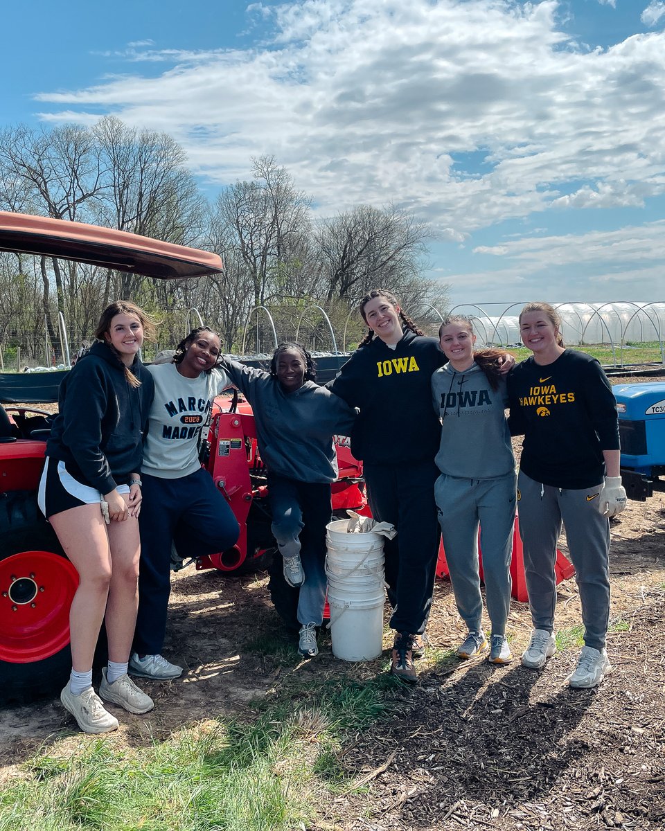 Iowa Women's Basketball tweet media
