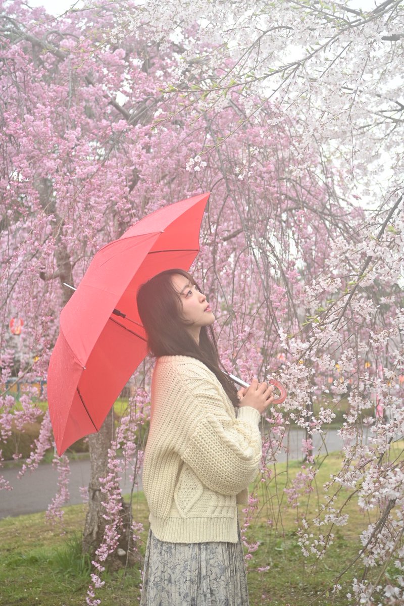 Marron091618's tweet image. 杏ちゃん🐰🍋本垢凍結中新しく...

病院🏥の合間のフォト
おはようございます

@anchan_shooting 
#shooting sendai 
#ポートレート撮影 
#リクエスト撮影 
#榴ヶ岡公園撮影