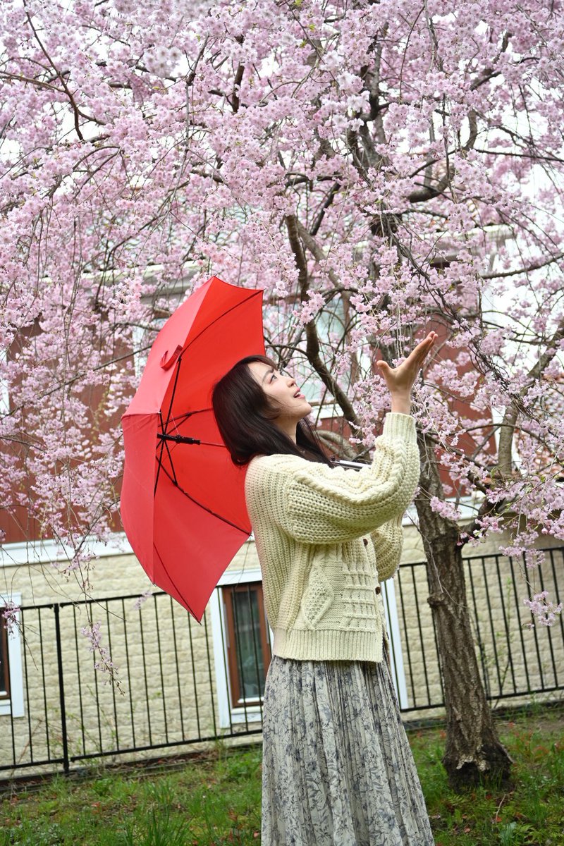 Marron091618's tweet image. 杏ちゃん🐰🍋本垢凍結中新しく...

病院🏥の合間のフォト
おはようございます

@anchan_shooting 
#shooting sendai 
#ポートレート撮影 
#リクエスト撮影 
#榴ヶ岡公園撮影