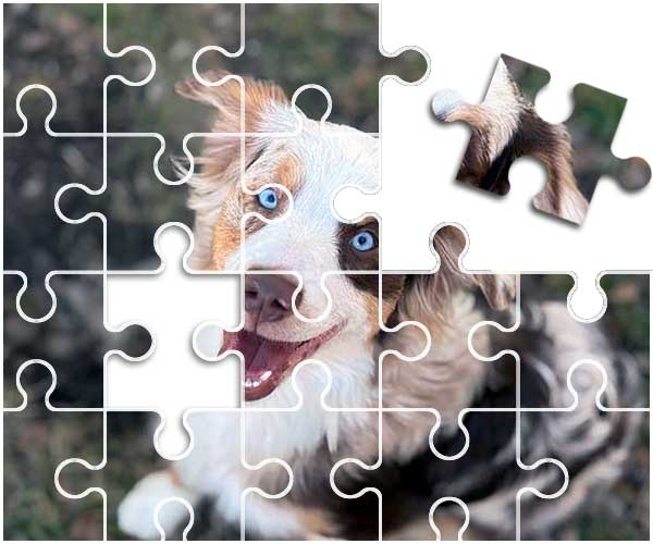 AussieShepLover's tweet image. 🧩🧩🧩 TRY THE ONLINE AUSSIE PUZZLE! 🧩🧩🧩
The Photo of the Month is now available as an online puzzle!

Check it out here:
australian-shepherd-lovers.com/australian-she…

Let me know what you think of the new puzzle. 🙂 ~Anton 

#australianshepherd #aussie #dogpuzzles #dogphotography #aussielovers