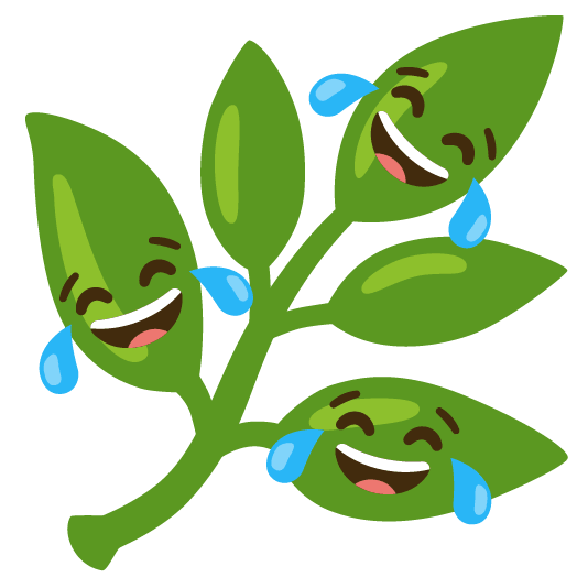 Sheref El Kholy tweet media