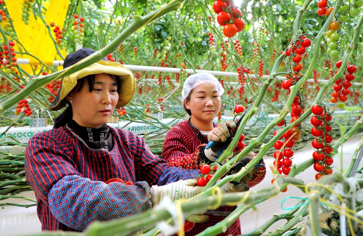 Karolina Osiak tweet media