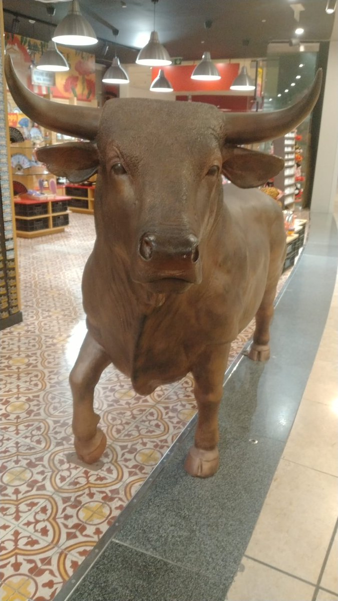 DaniElefantman's tweet image. Un encuentro en el aeropuerto  . Haciendo tiempo para embarcar  #aeropuerto  #hacerfotos #toro