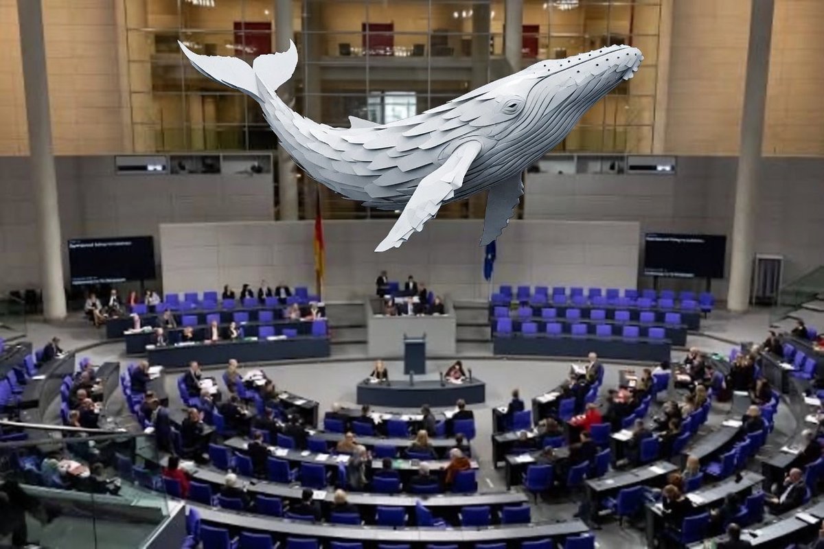 Mathias Priebe tweet media