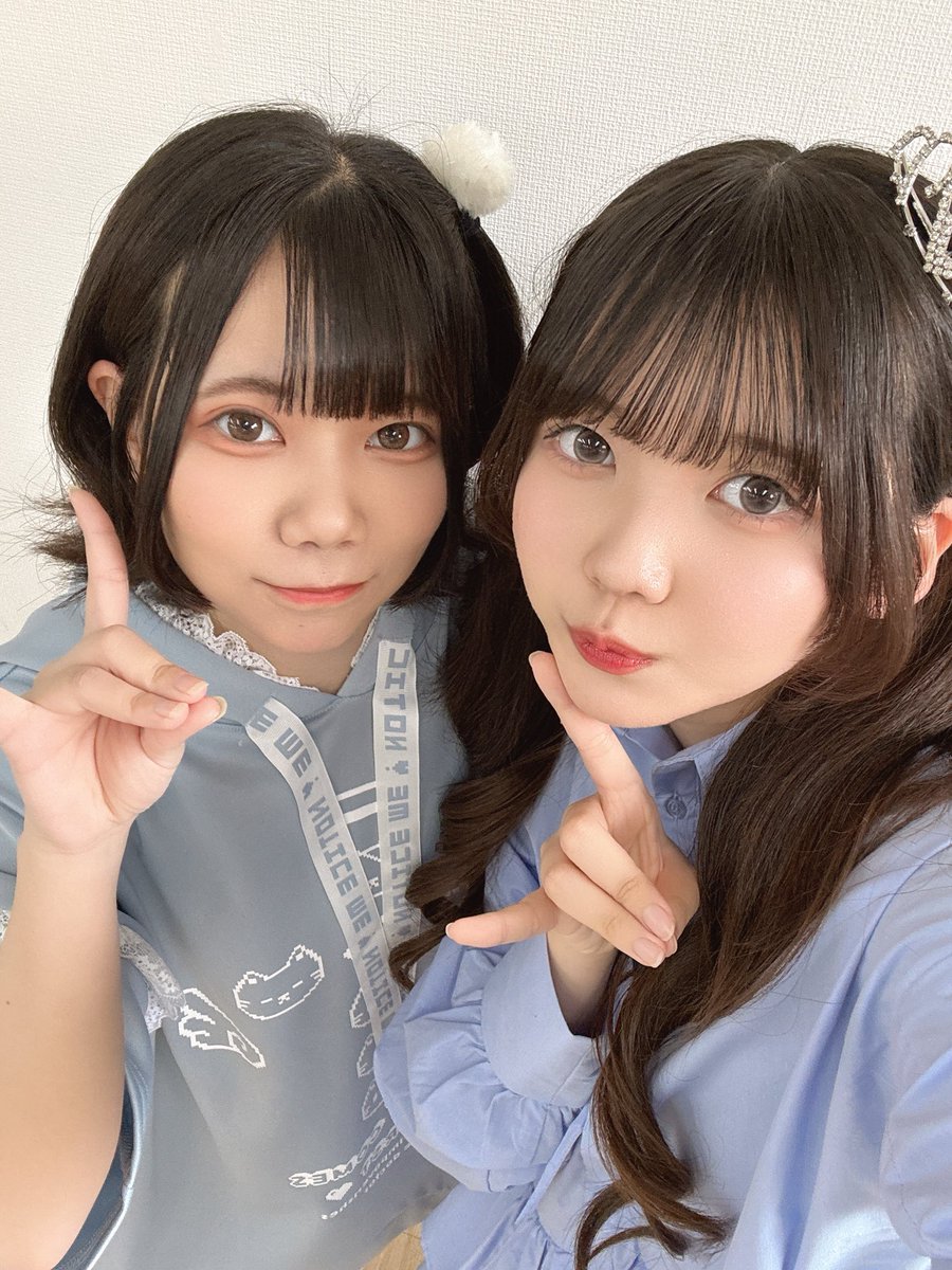 あおい@Chimo🐶🐾 tweet media