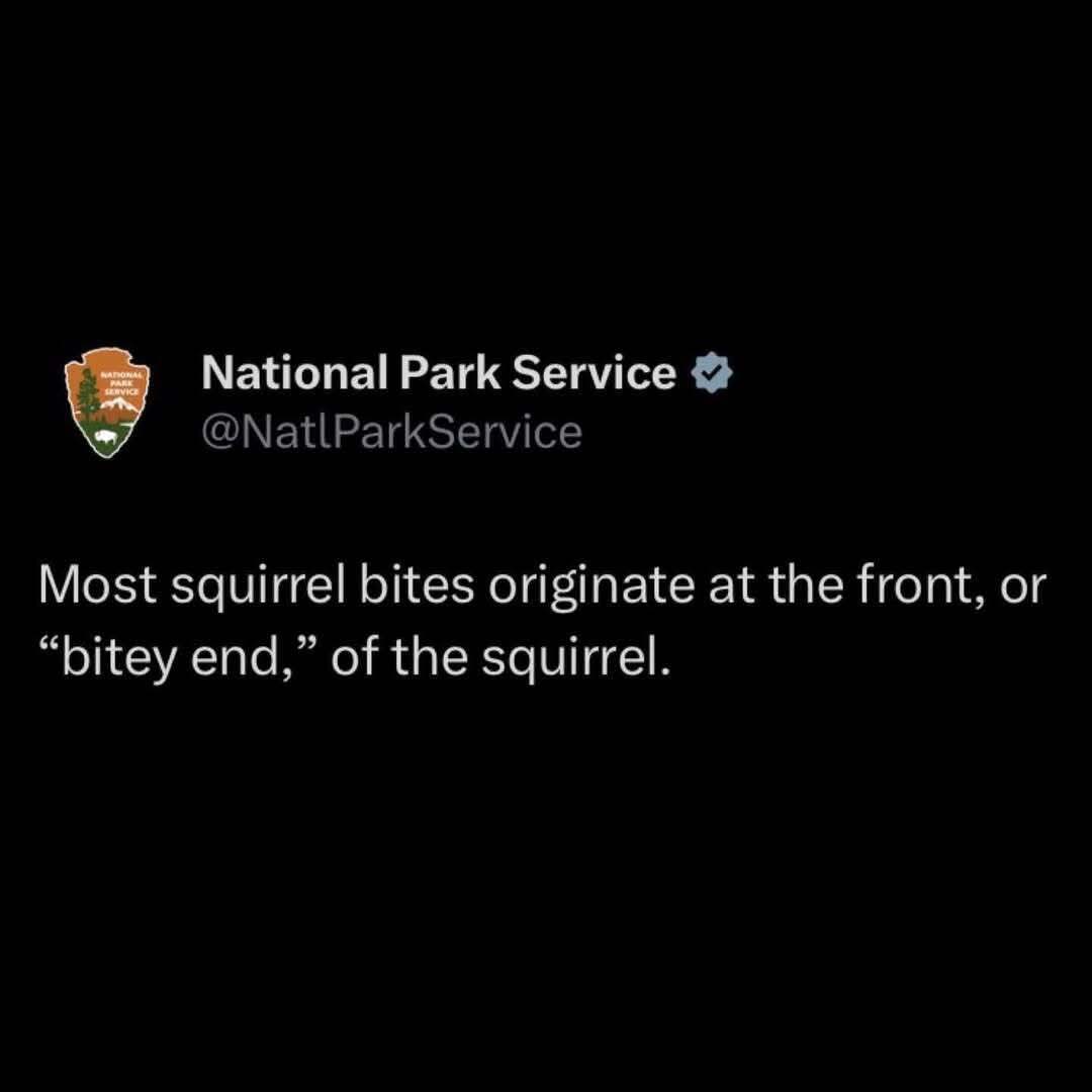 Pugisquirrel's tweet photo. Don't say you weren't warned! 😉 https://t.co/OjnG3RdNjm