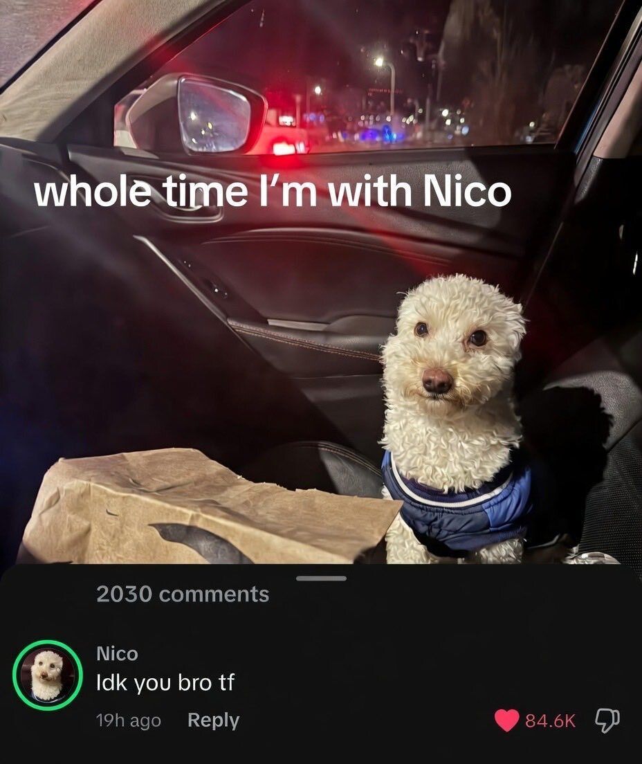 no context memes tweet media