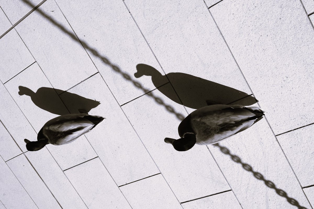 Solidbond tweet media