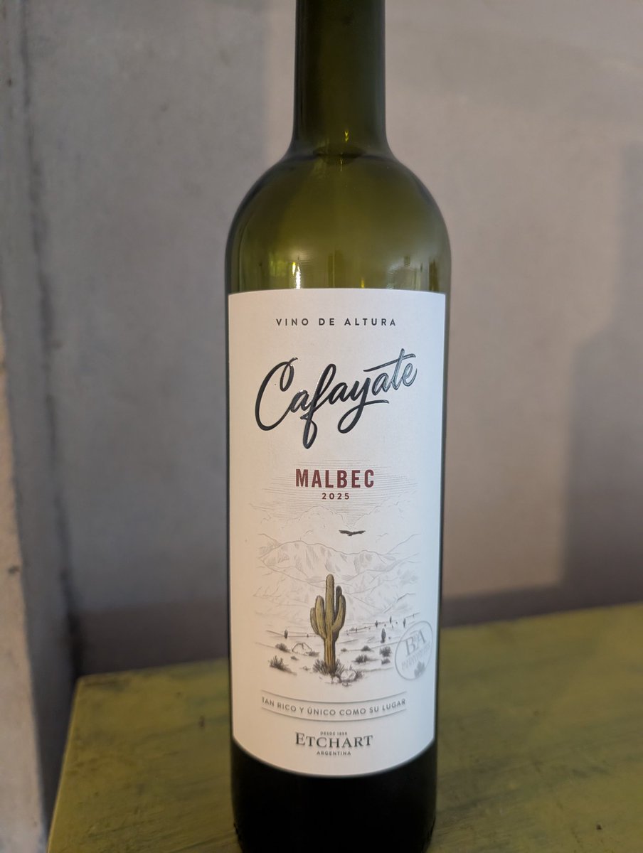 🐦‍🔥 Gus 🏴‍☠️ tweet media