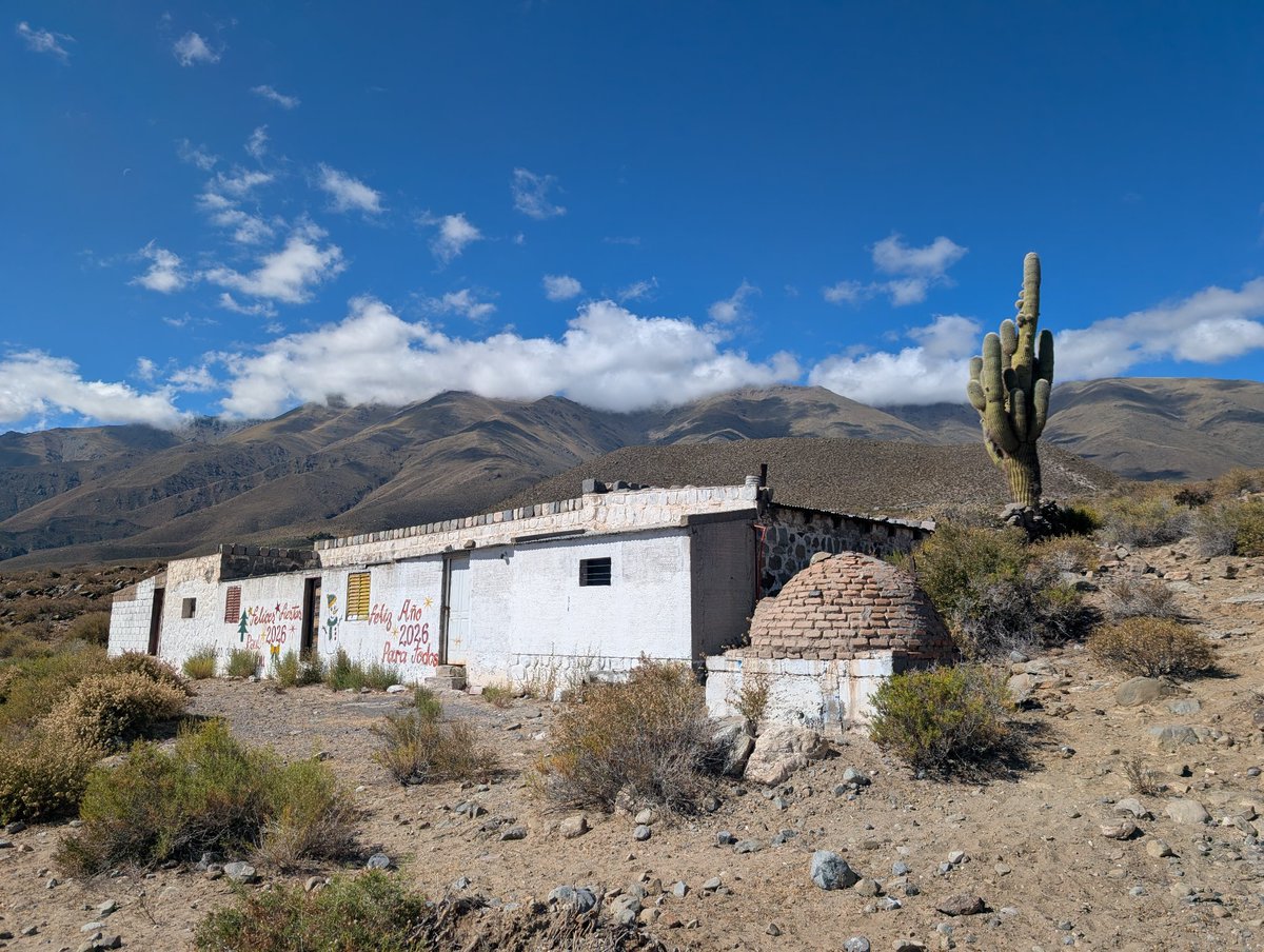 🐦‍🔥 Gus 🏴‍☠️ tweet media