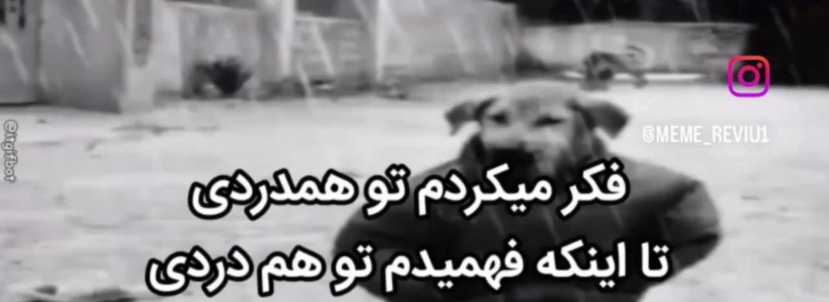 نانا🪭 tweet media